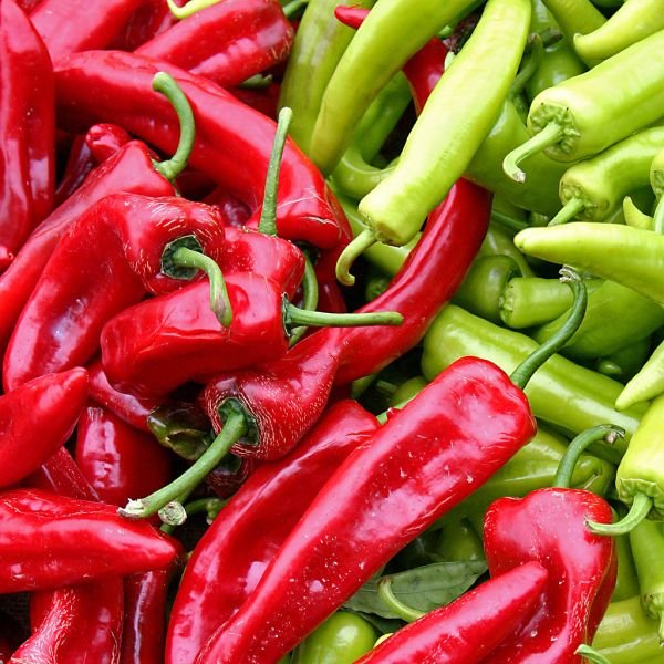 Green Chili কাঁচা মরিচ