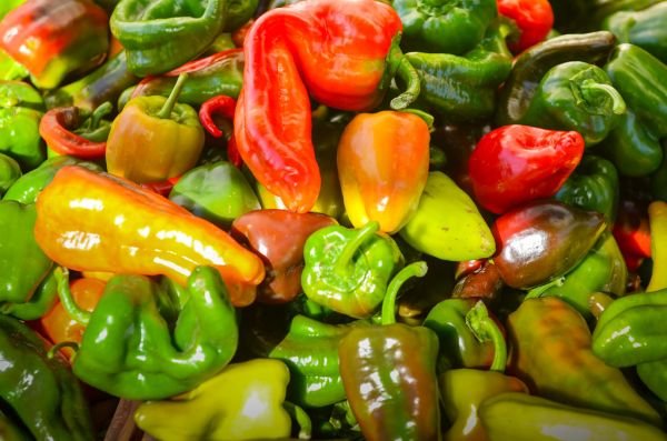 Bell Pepper (Capsicum) ক্যাপসিকাম