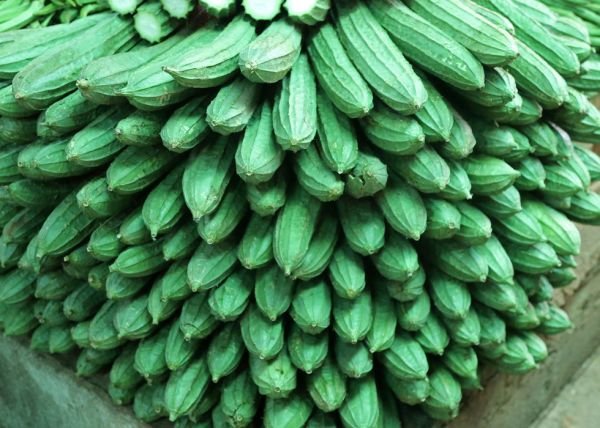 Ridge Gourd দেশি ঝিঙে